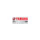 Cinghia dentata Yamaha F50 (1995 - 2004) logo