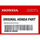Cinghia distribuzione Honda BF115