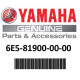Pompa dell'olio Yamaha 100HP 2 tempi